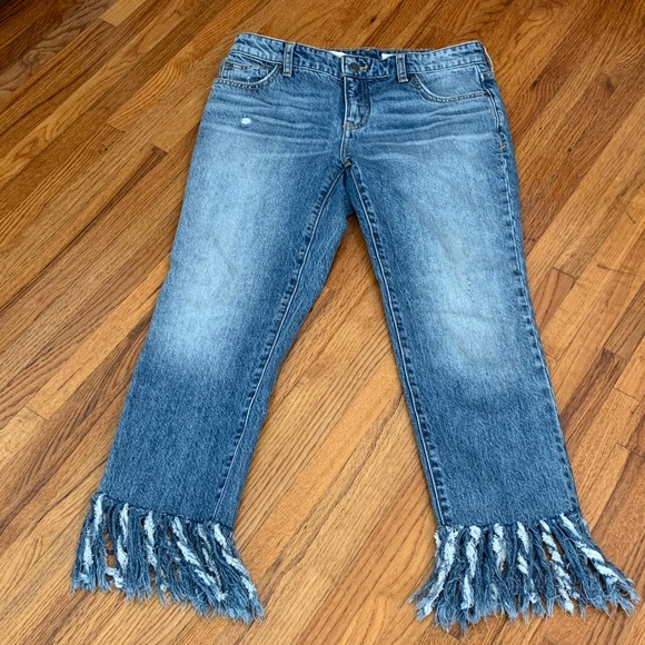 Anthropologie Pilcro & the Letterpress fringe jean - Picture 2 of 7